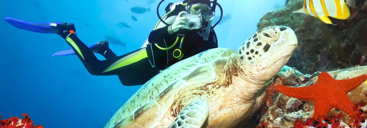A person in diving gear taking a photo of a turtle