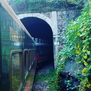 copper-canyon-train-going-into-tunnel